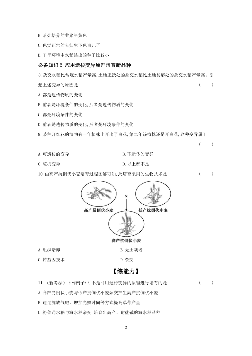 7.2.5 生物的变异（含答案）2023-2024学年生物人教版八年级下册 课时提高练