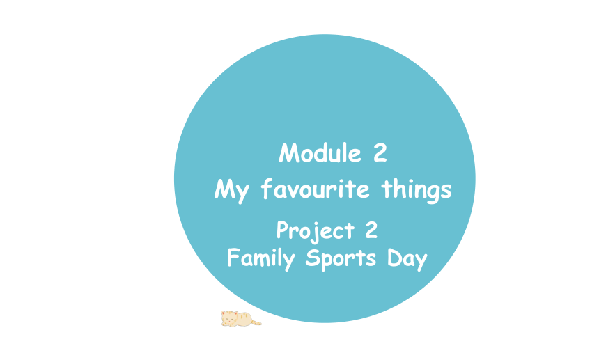 Module 2 My favourite things  Project 2    课件 (共17张PPT)