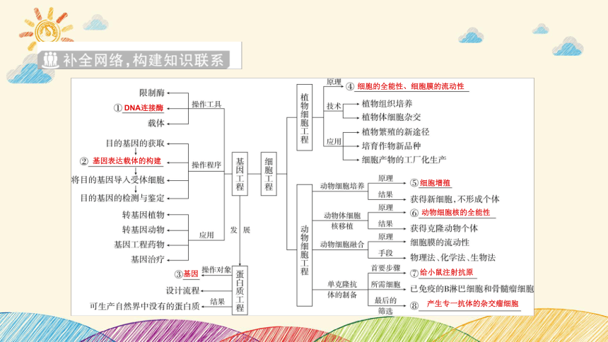 高考生物二轮重点讲练：第17讲　基因工程和细胞工程(共111张PPT)