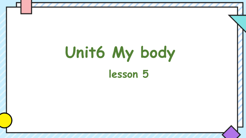 Unit6 My body lesson 5 课件(共34张PPT)