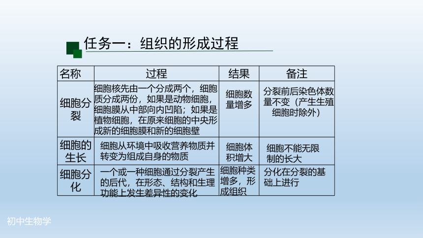 2.2.2  动物体的结构层次-课件(共27张PPT)