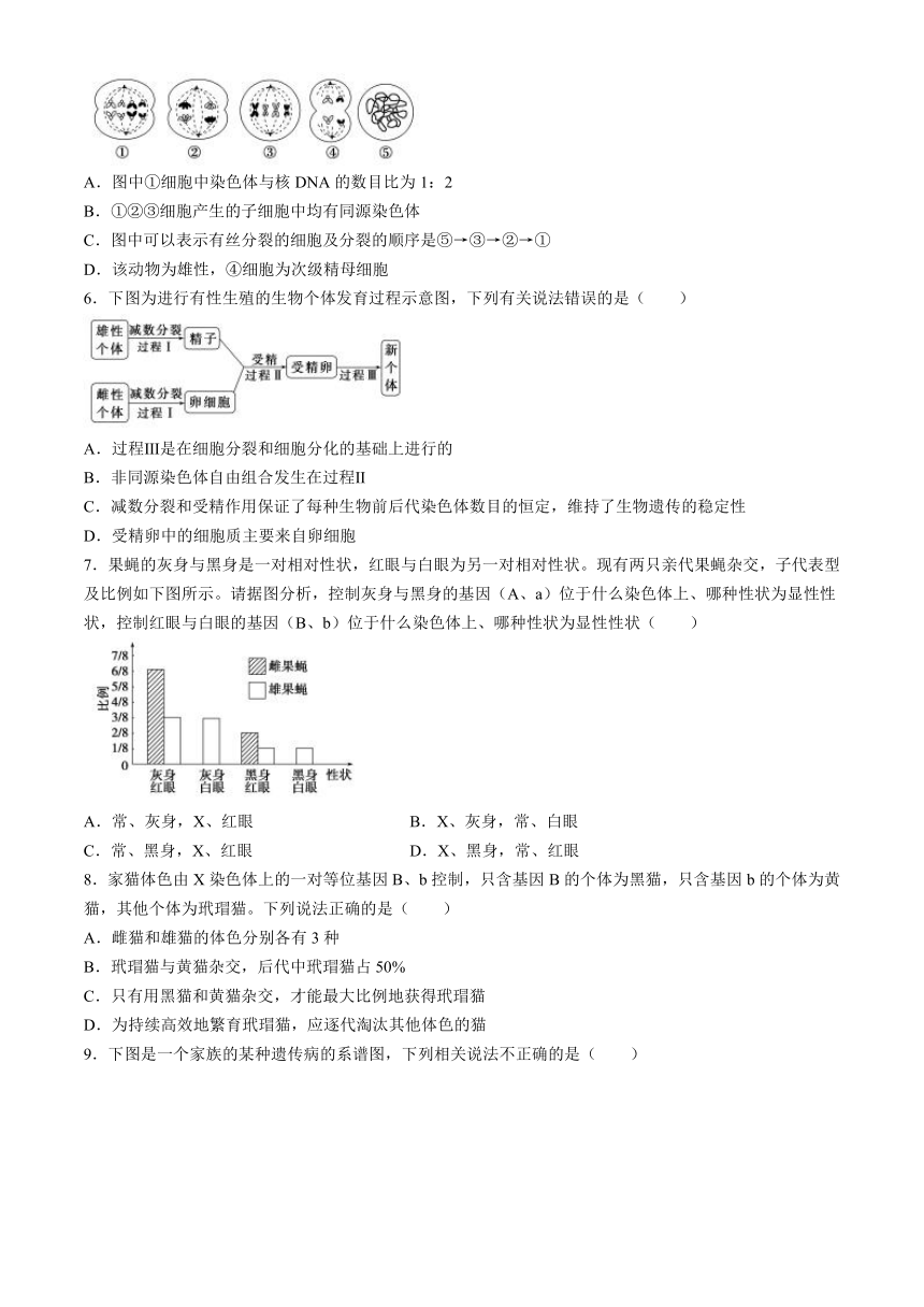 四川省眉山市仁寿县实验中学2023-2024学年高一下学期4月期中考试生物学试题（含答案）