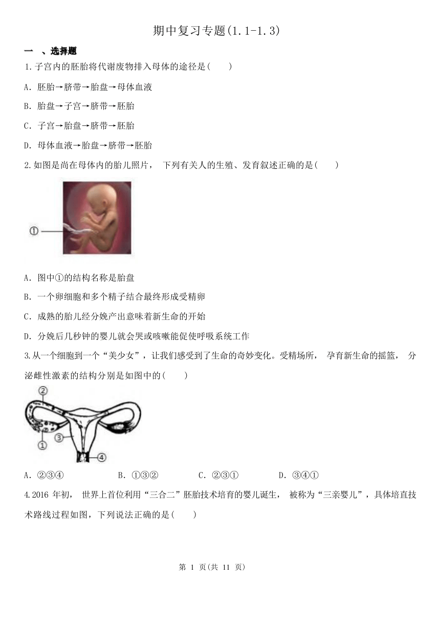 第1章 代代相传的生命 复习专题（1.1-1.3，含解析）