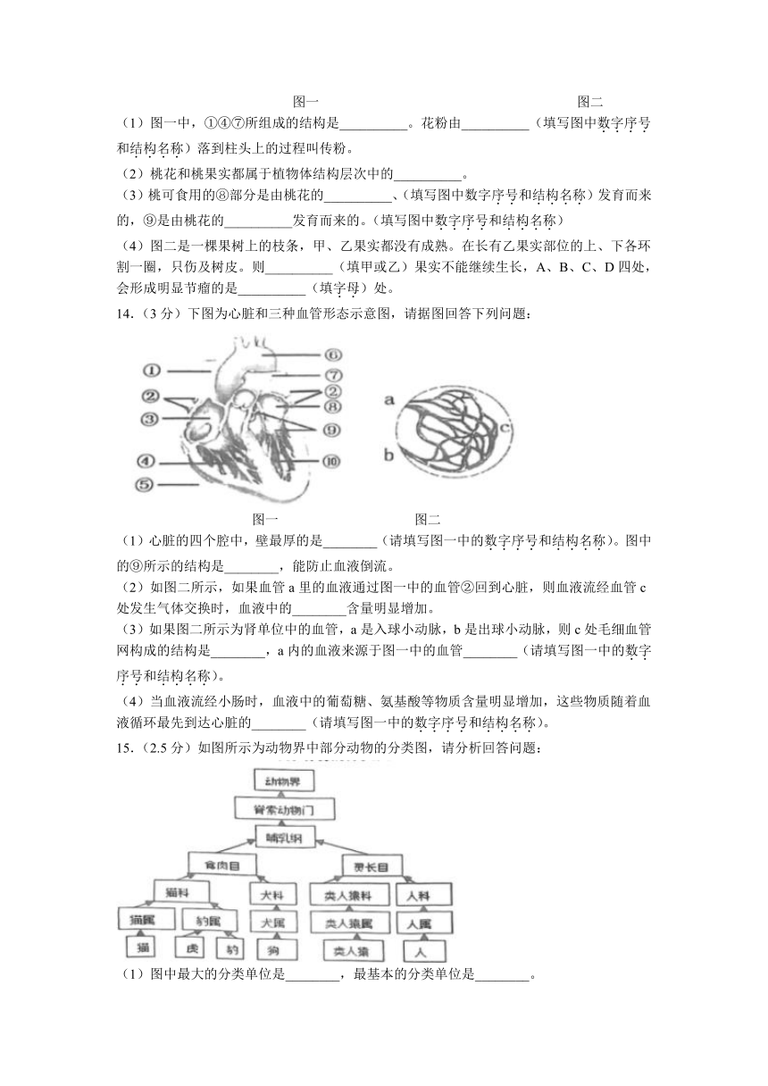 2023年辽宁省沈阳市皇姑区中考三模生物试题（含答案）