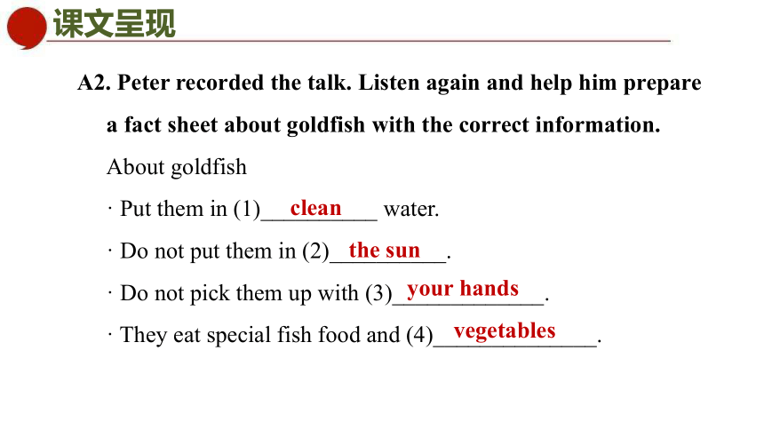 Unit 8 Pets Period 4 Integrated skills & Study skills 课件(共31张PPT)