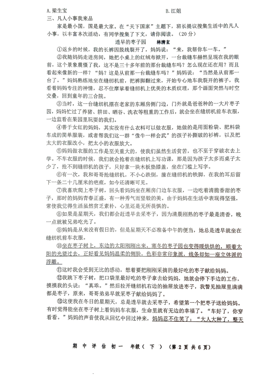 浙江省宁波市镇海区尚志中学2023-2024学年七年级下学期4月期中语文试题（图片版，无答案）