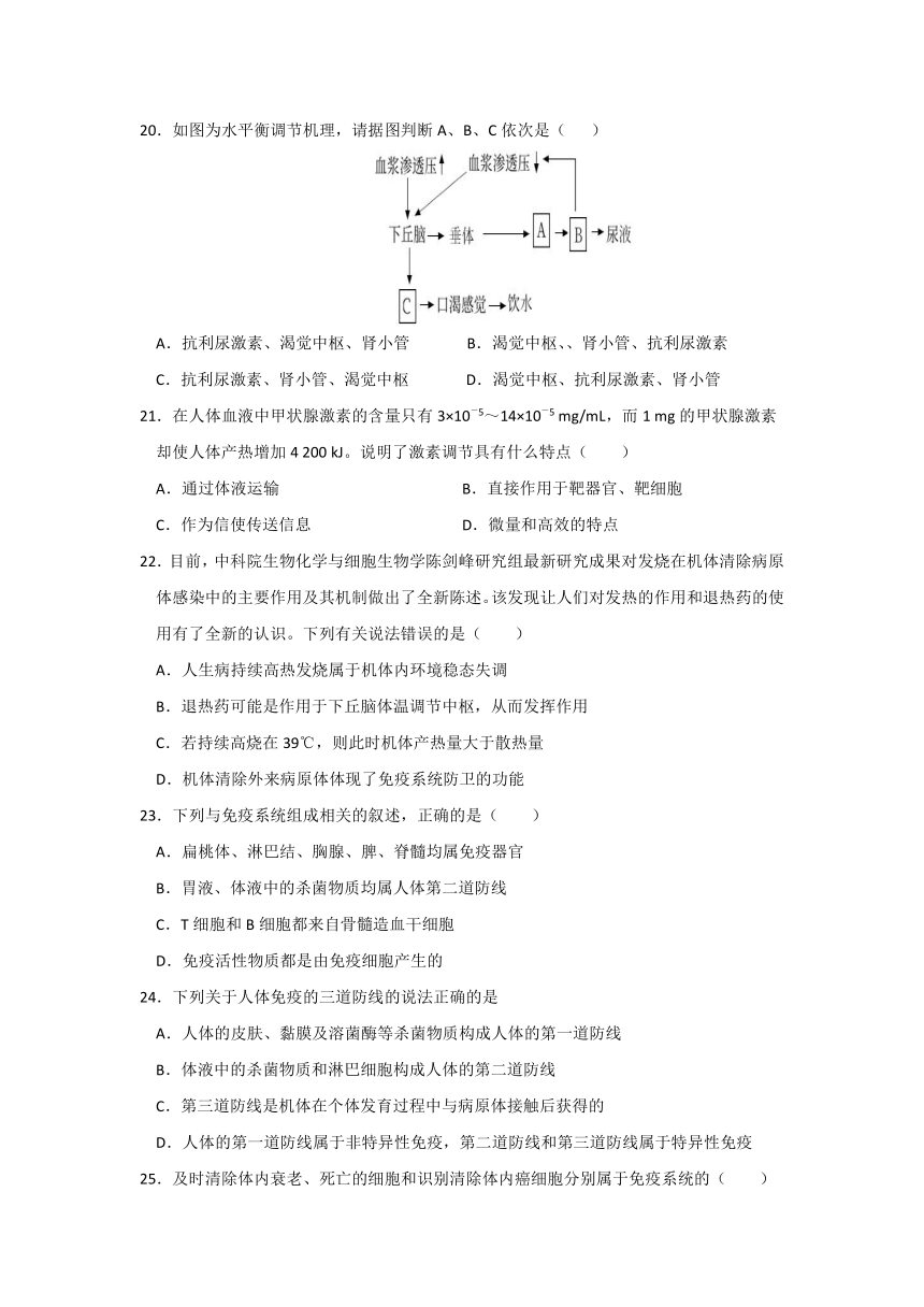 吉林省油田第11高级中学2021-2022学年高二上学期期中考试生物试题（Word版含答案）