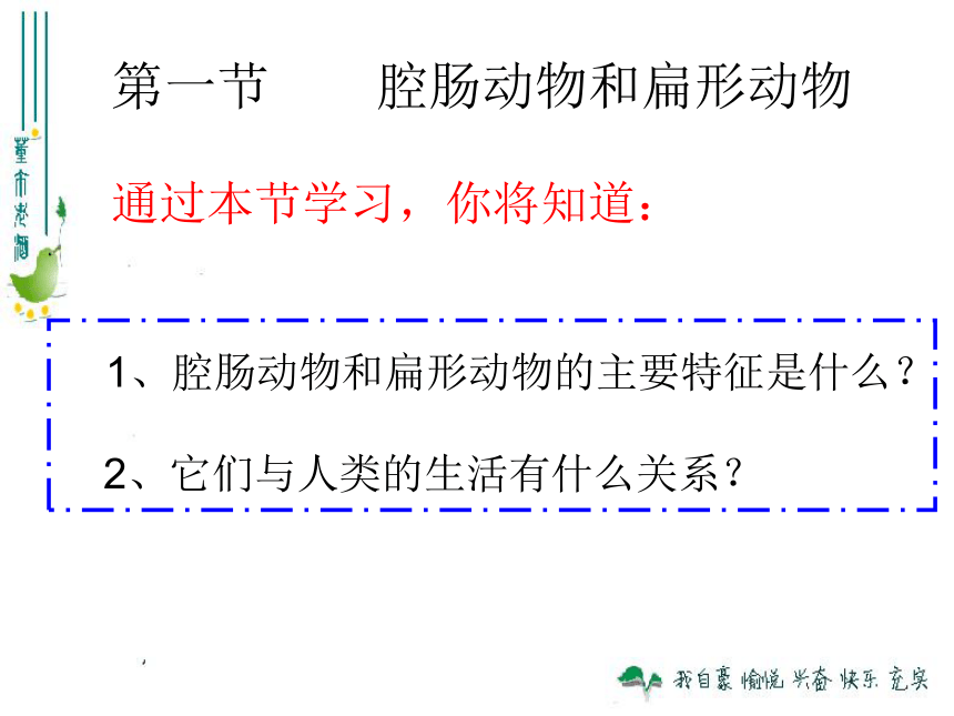 5.1.1腔肠动物和扁形动物课件（共19张PPT）2022--2023学年人教版生物八年级上册