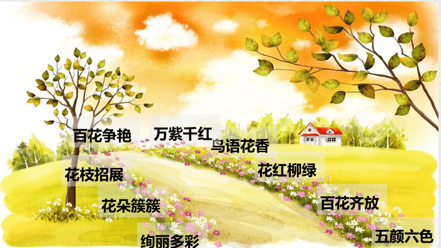 3  开满鲜花的小路（课件）(共26张PPT)