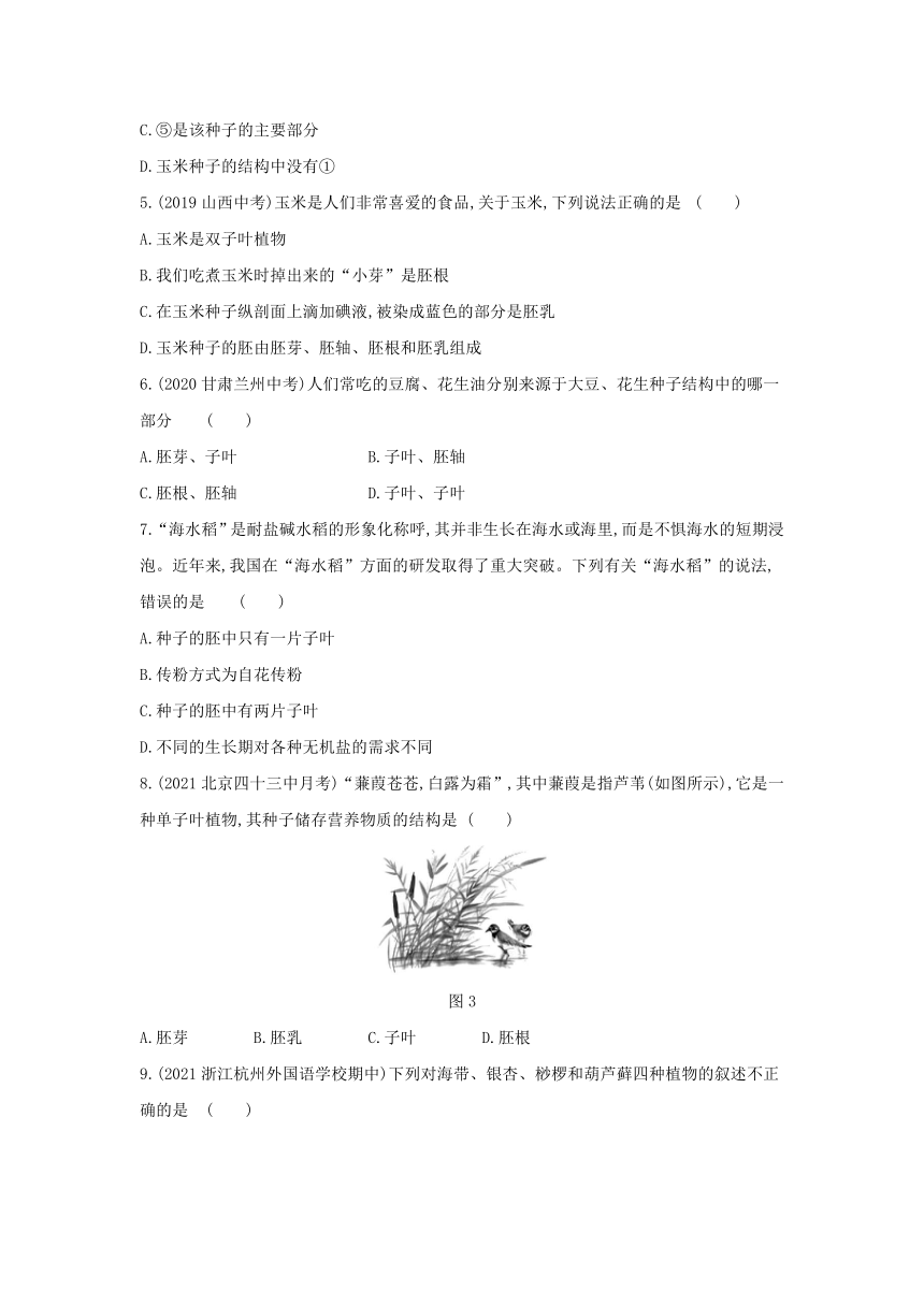 第三单元 第一章生物圈中有哪些绿色植物&第二章被子植物的一生练习(word版含解析）