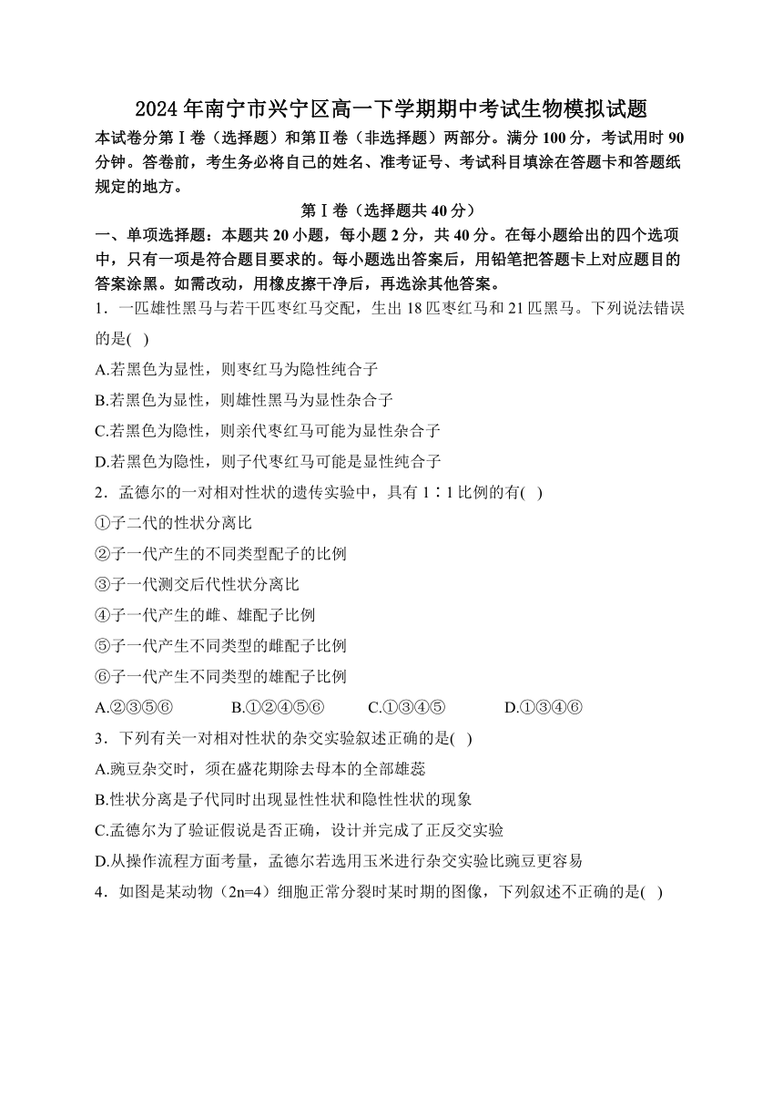 2024年广西壮族自治区南宁市兴宁区高一下学期期中考试生物模拟试题（PDF版含解析）