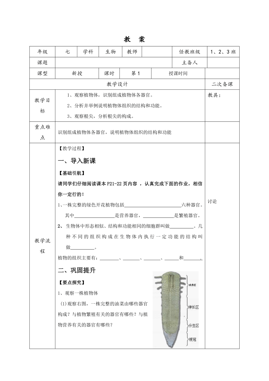 苏科版七年级生物下册教案：9.1植物体的组成（表格式）