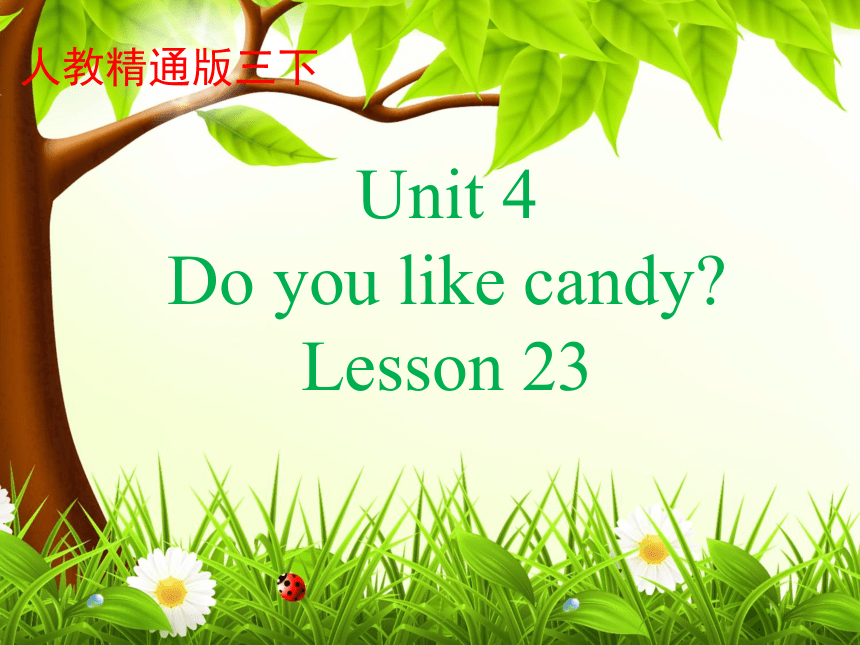 Unit4 Do you like candy？(Lesson23) 课件（共24张PPT）