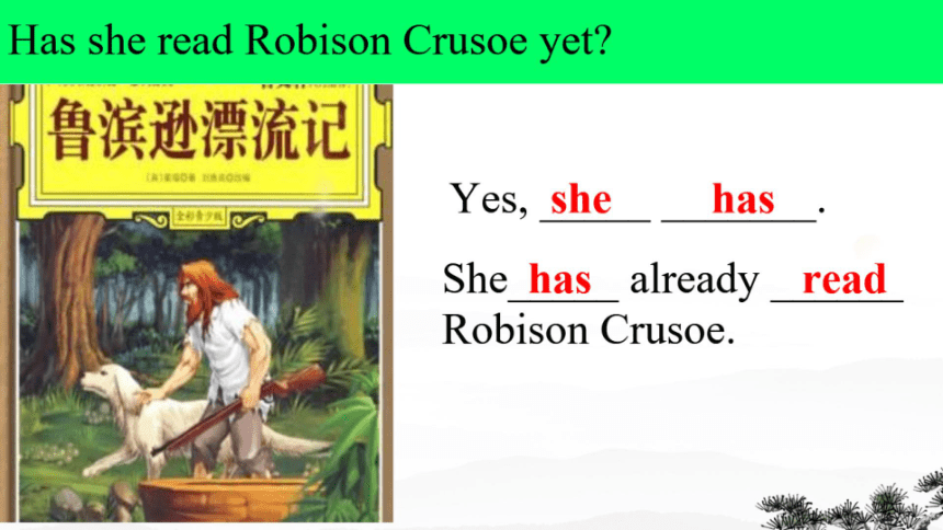 Section A Grammar focus公开课课件（希沃版+PPT图片版）Unit 8 Have you read Treasure Island yet?（人教新目标八下）