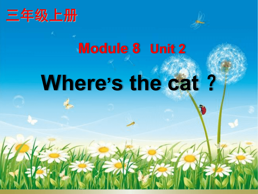 Module 8>Unit 2 Where's the cat? 课件(共18张PPT)