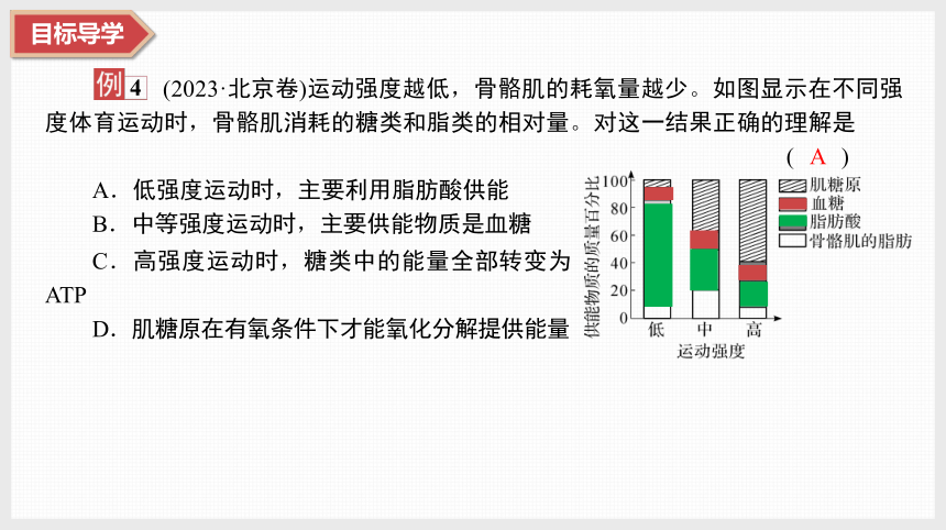 2024届高三二轮复习生物：生命的细胞基础（共34张ppt）