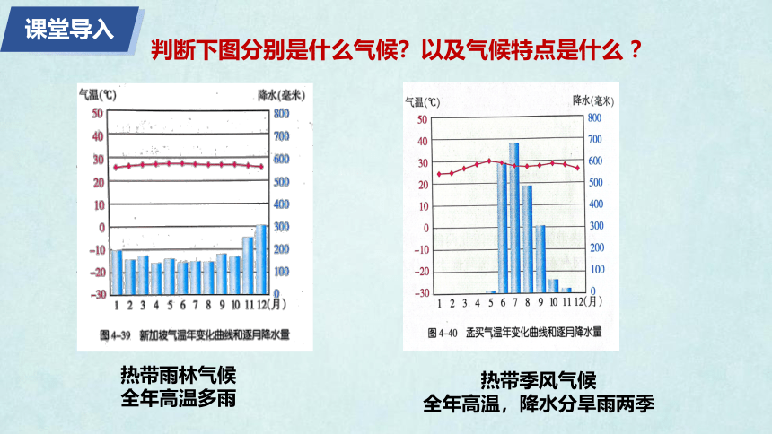 3.3 世界气候类型 第2课时 温带气候 课件 (共25张PPT)沪教版六年级地理下册