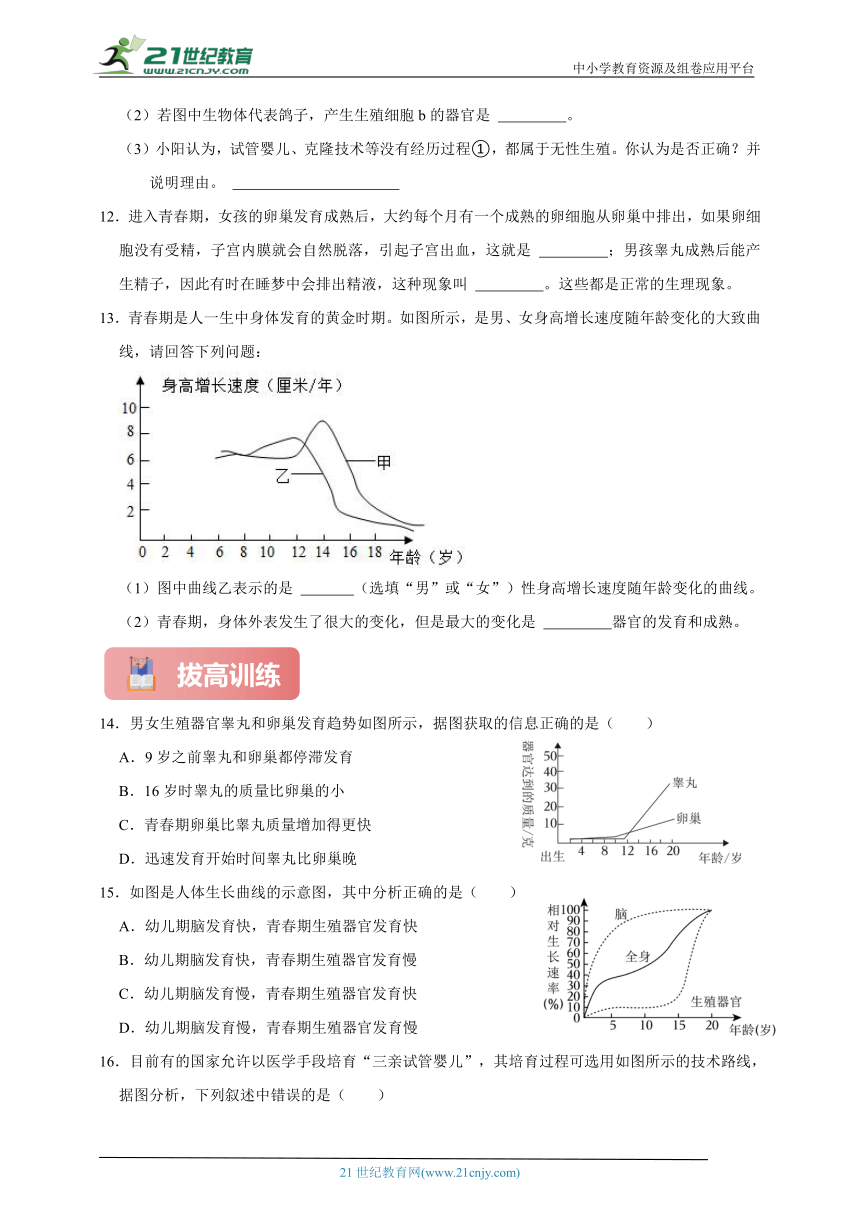 浙教版七下科学期中专题01 新生命的诞生与走向成熟（含答案）