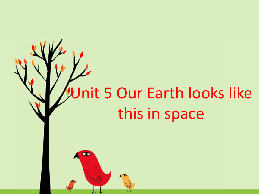 Unit 5 Our earth looks like this in space 课件(共20张PPT)