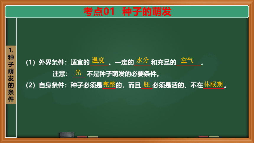 第五讲  被子植物的一生（课件）2023年中考生物总复习(共20张PPT＋内嵌视频1个)