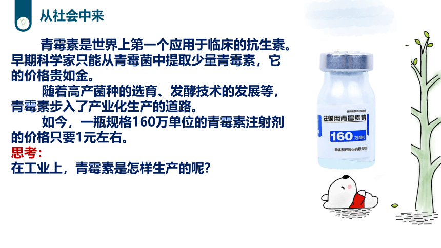 2021-2022学年高二下学期生物人教版（2019）选择性必修3-1.3发酵工程及其应用课件-（24张ppt）