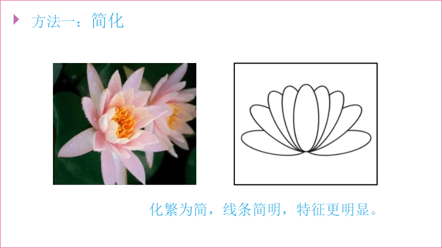湘美版 美术四年级上册 6.花儿朵朵（课件）(共27张PPT)