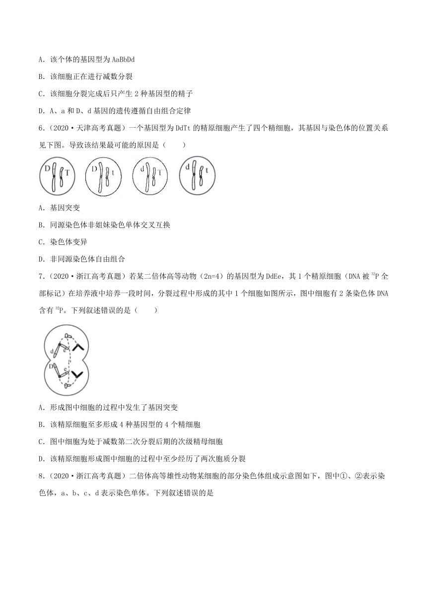 2022年高考生物三年高考真题及模拟题分类汇编：遗传的细胞基础（Word版含解析）
