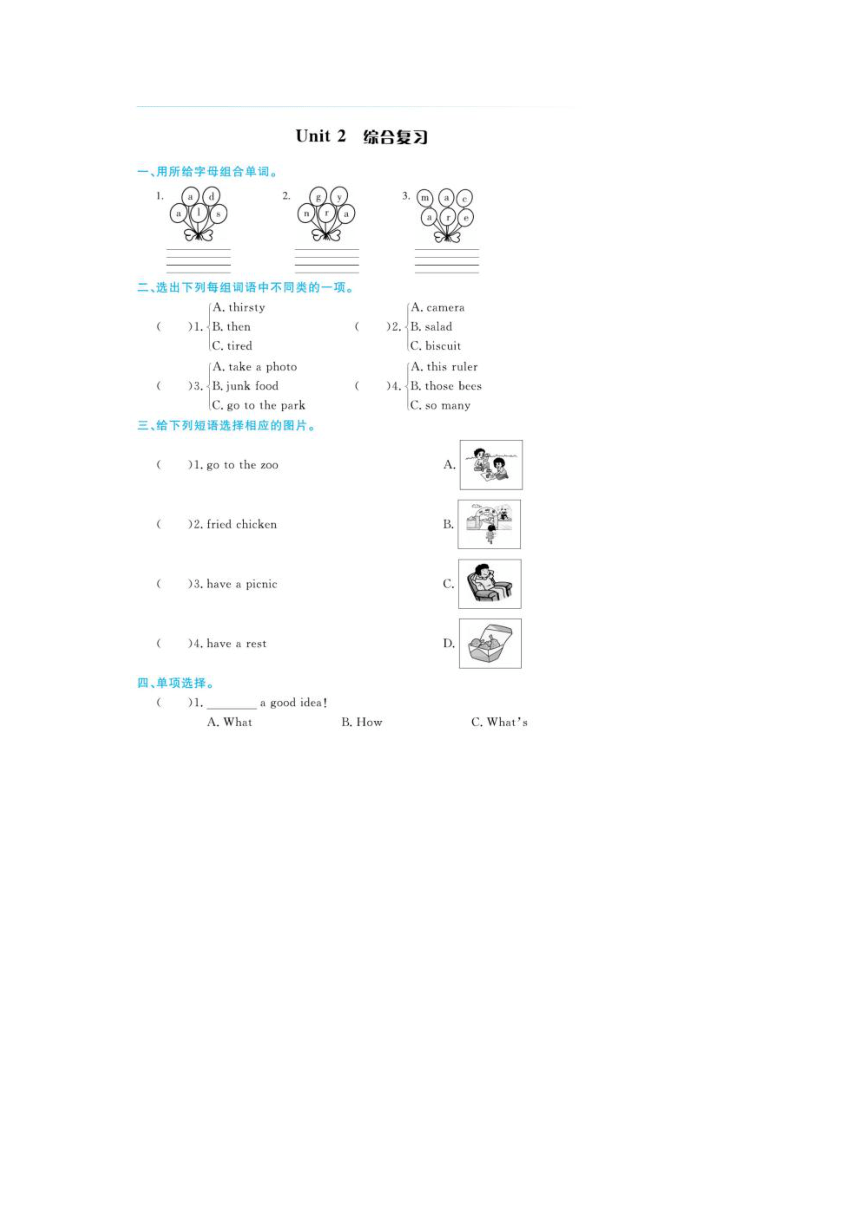 Unit 2 Having a Picnic 单元总结及练习（图片版，无答案）