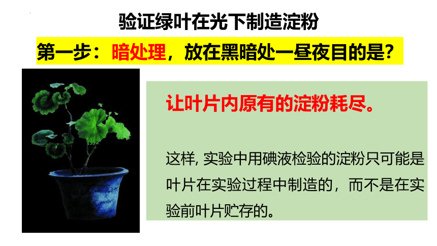 2.1.3绿色植物的光合作用课件(共35张PPT)2022--2023学年济南版生物七年级上册