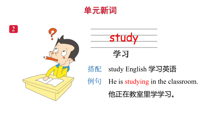 Unit 2 School Activities   Vocabulary  课件(共20张PPT)