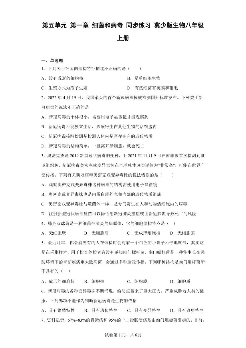 第五单元 第一章 细菌和病毒 同步练习（含答案） 冀教版生物八年级上册