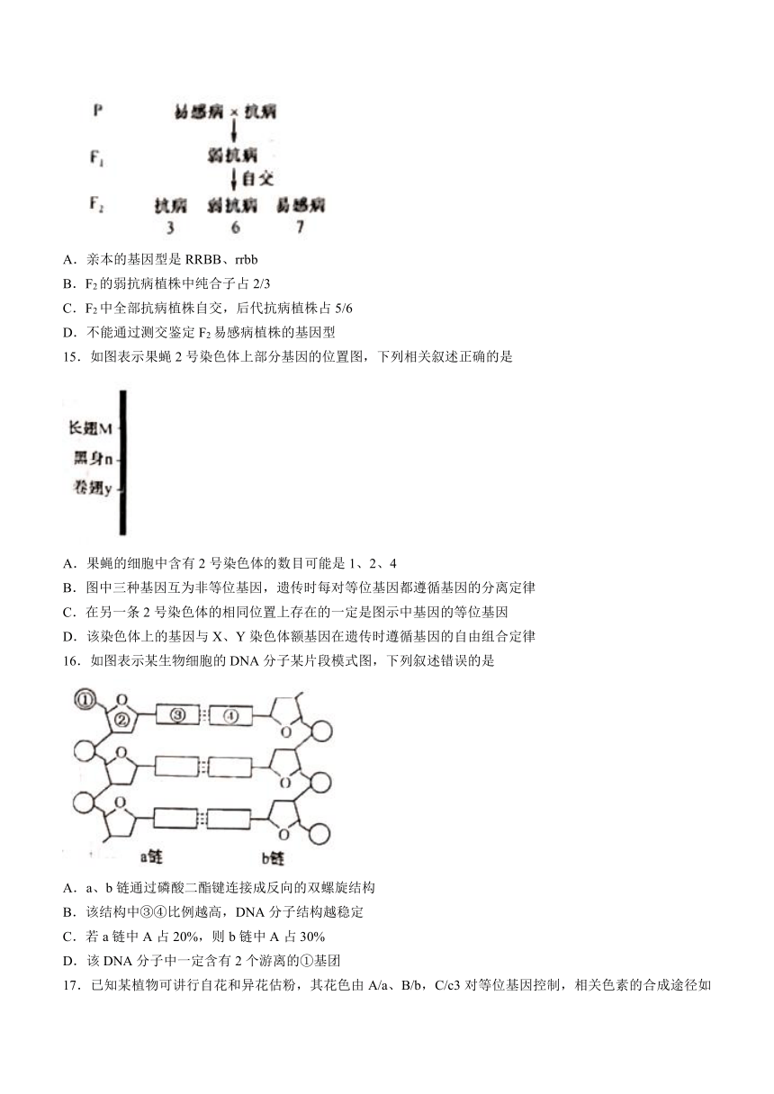 河北省曲阳县2020-2021学年高一下学期第四次检测（6月月考）生物试题 Word版含答案