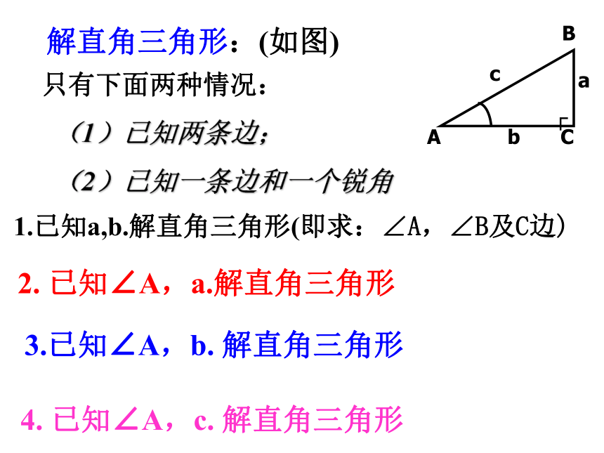 北师大版九年级数学下册第一章《直角三角形的边角关系》复习课件2(共41张PPT)