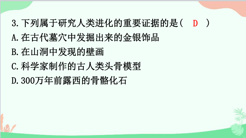 2023年中考生物复习 主题六  遗传与进化  (二)人类的起源和进化、生物进化的历程    习题课件 (共19张PPT)