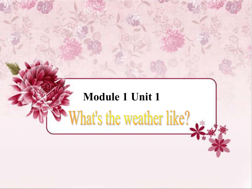 Module 1 Unit 1 What’s the weather like？ 课件(共19张PPT)