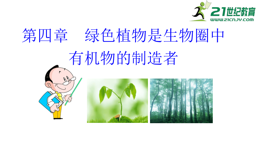 人教版生物七年级上册 3.4  绿色植物是生物圈中有机物的制造者课件(共25张PPT)