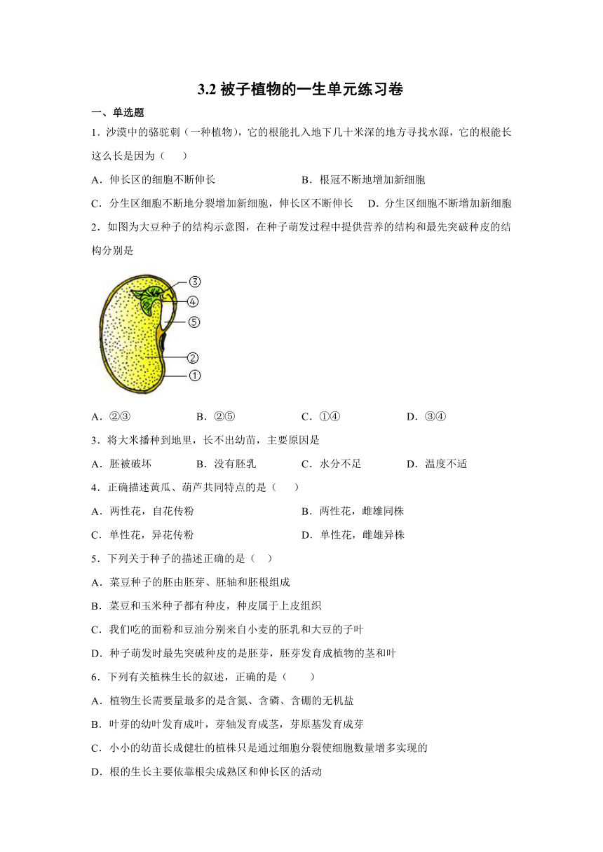 3.2被子植物的一生单元练习卷 （word版含答案）