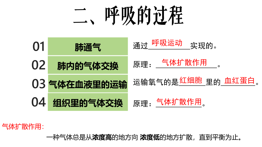 冀教版七年级下册 第三-六章 复习课件  （共46张PPT）