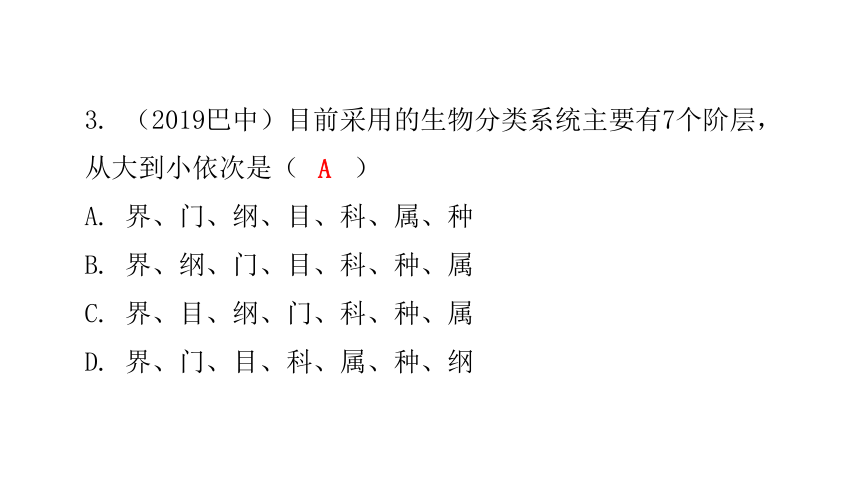 22 章末总结 课件 2020-2021学年八年级生物下册（北师大版）（36张PPT）