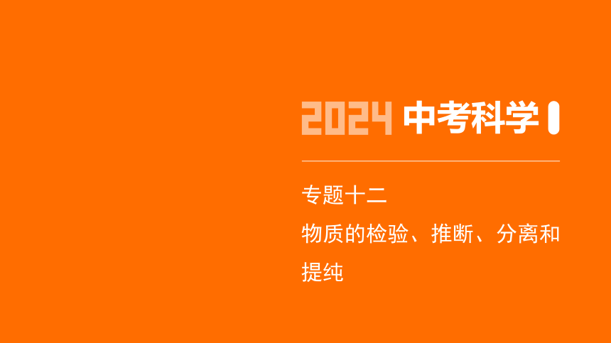 2024年浙江省中考科学二轮复习化学部分：专题十二 物质的检验、推断、分离和提纯（课件 19张PPT)