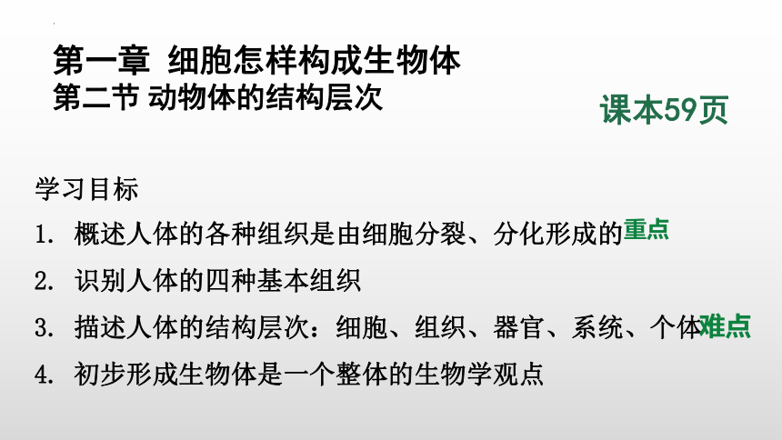 2022--2023学年人教版七年级上册生物 2.2.2动物体的结构层次课件 (共27张PPT)