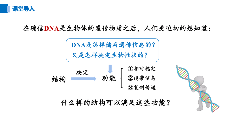 3.2DNA的结构-(共20张PPT)课件人教版必修2