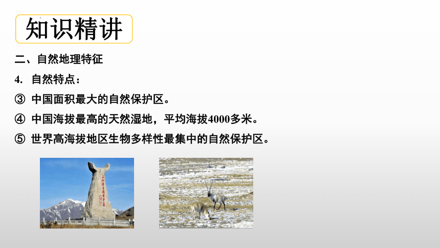 9.2高原湿地-三江源地区课件(共21张PPT)2022-2023学年八年级地理下学期人教版