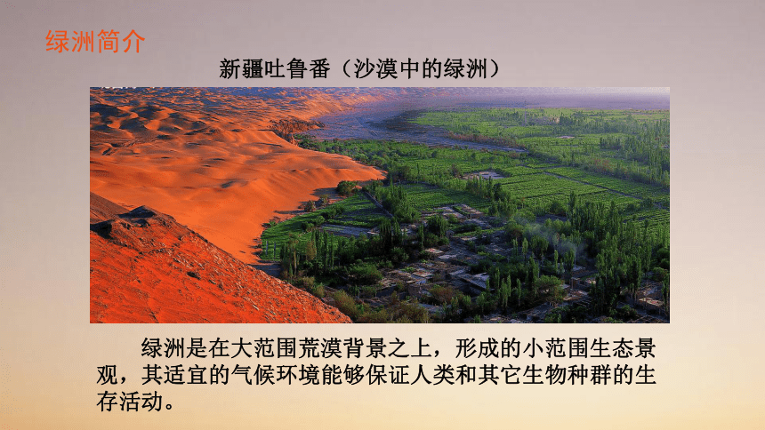 2020-2021学年人教版地理八年级下册8.2干旱的宝地——塔里木盆地课件（共31张PPT）