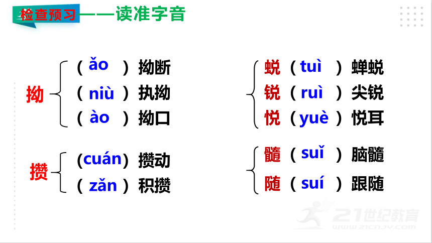 09 从百草园到三味书屋 课件（共42张PPT）