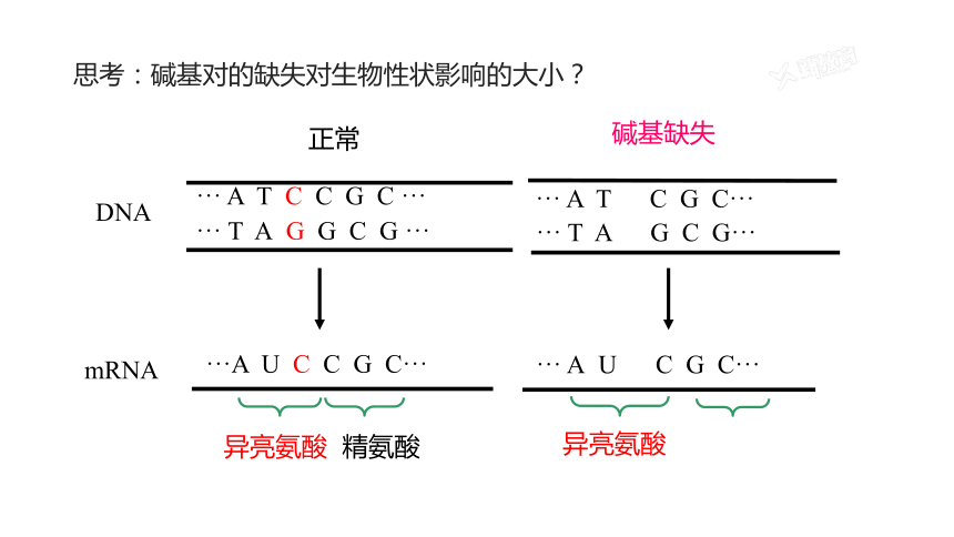 2021-2022学年高一下学期生物人教版必修2 5.1基因突变和基因重组课件(共27张PPT)