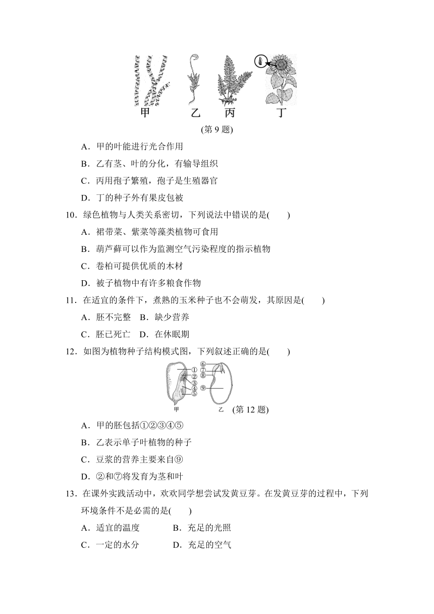 人教版生物七年级上学期第三单元第一、二章学情评估试题（含答案）