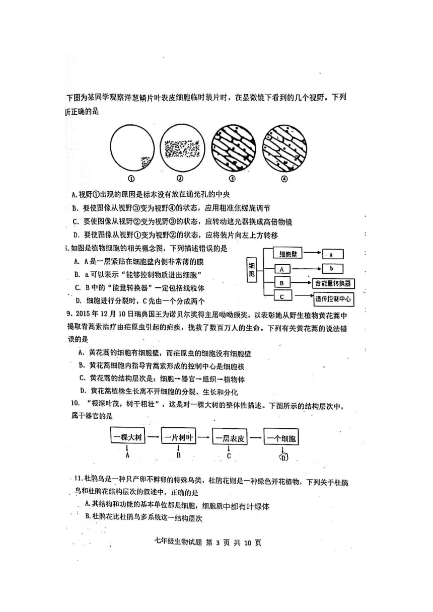 山东省济南市长清区2021-2022学年七年级上学期期中考试生物试题（扫描版含答案）