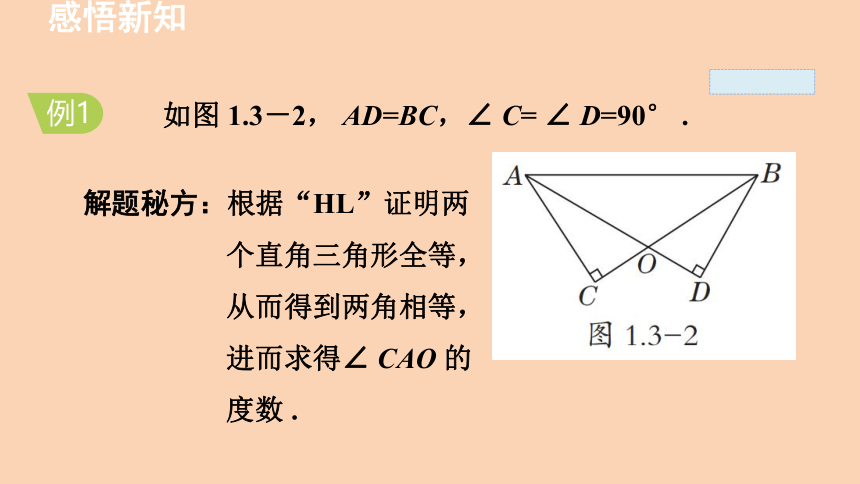 湘教版 八年级下册 1.3 直角三角形全等的判定  课件 (共24张PPT)