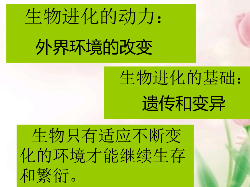 2020-2021学年人教版生物八年级下册7.3.3生物进化的原因课件（49张PPT）